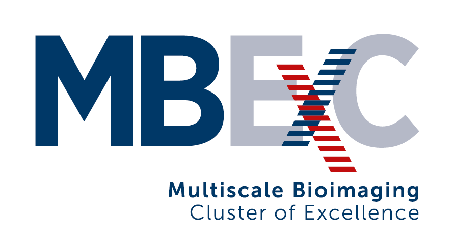 Exzellenzcluster Multiscale Bioimaging