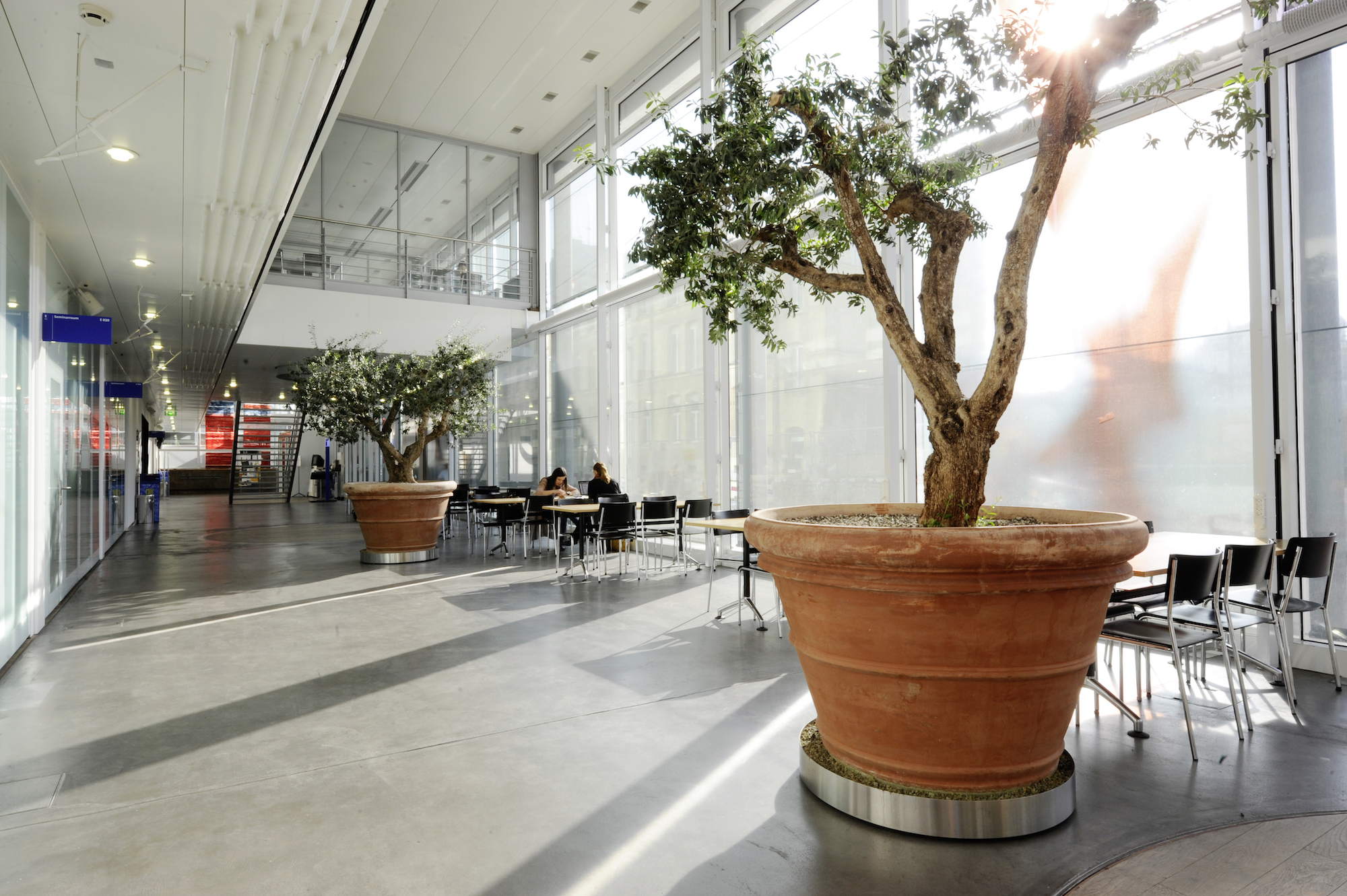 Universität Zürich – Institut für Vergleichende Sprachwissenschaft