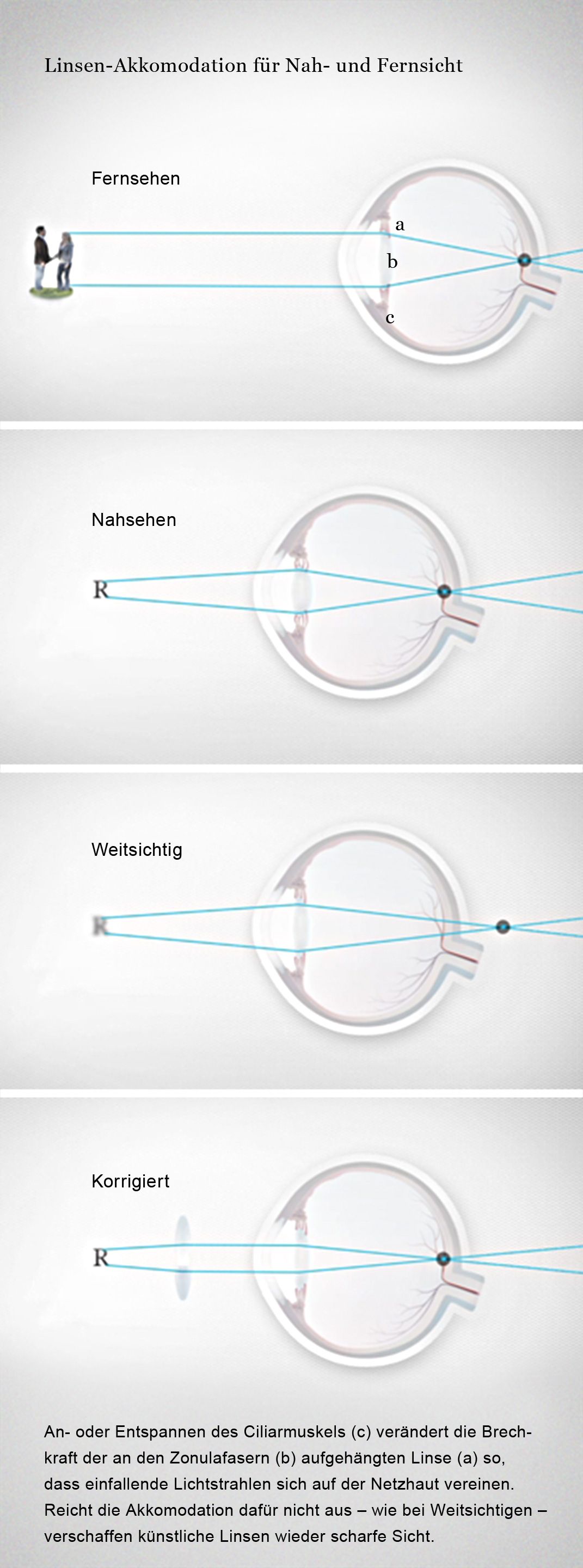 Mediathek - Bild | Sehen: Nah- und Fernsicht