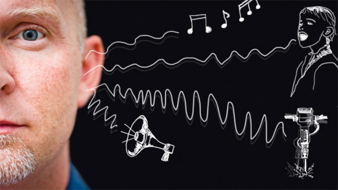 Hören Wie im Gehirn aus Schall Musik wird