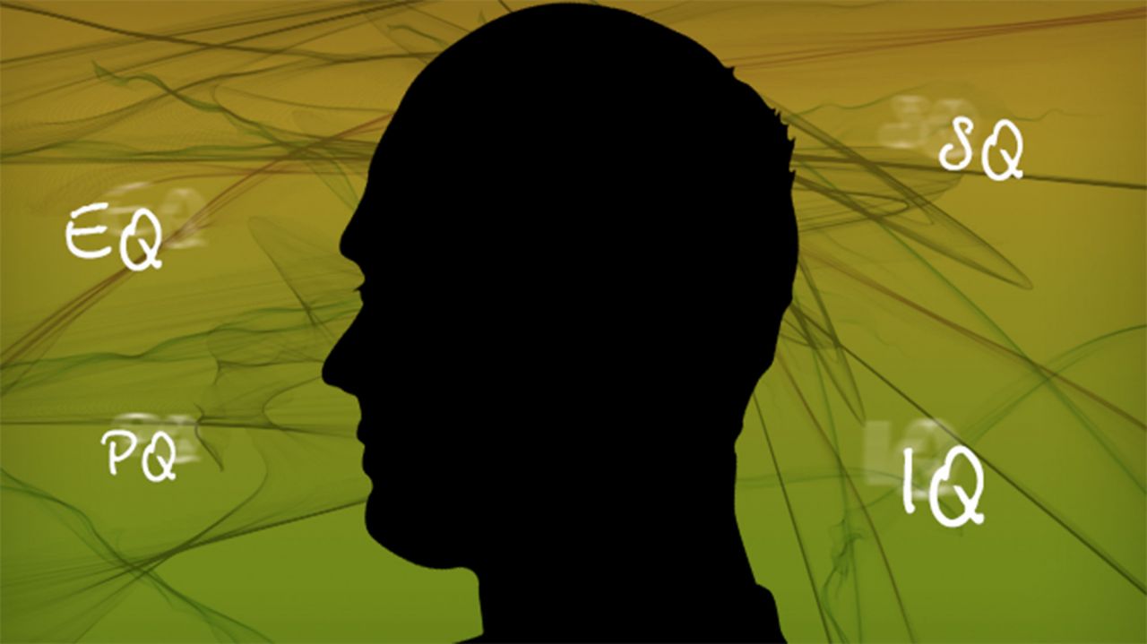 Wo sitzt die Intelligenz im Gehirn?