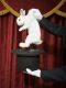 Zauberer schaffen es, gezielt die Aufmerksamkeit des Publikums abzulenken – und können so zum Beispiel ein Kaninchen aus einem Zylinder ziehen. © Mike Kemp/ Rubberball/ Getty Images 