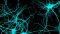 Kommunikation der Neuronen mittels Dendriten