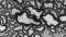Bei gesunden Mäusen schmiegt sich das isolierende Myelin (schwarz) als kompakte Schicht eng um die Nervenfasern, die Axone.