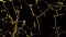 Konfokale Mikroskop-Aufnahme: Die Axone der sensorischen Nervenzellen bilden ein feines Netzwerk in der Speiseröhre der Maus. Die Fortsätze der sensorischen Neuronen, die zu einem Zellknoten des Vagusnervs (vagales Ganglion) gehören, sind gelb angefärbt.