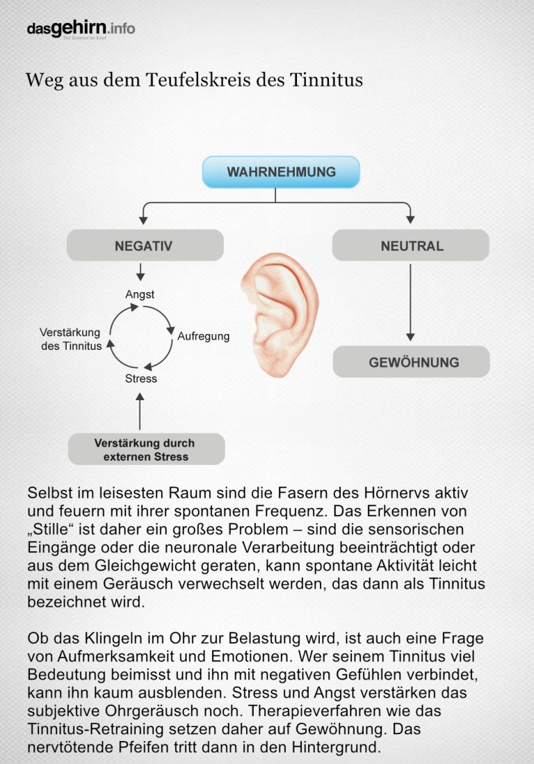 Therapieverfahren wie das Tinnitus-Retraining setzen auf Gewöhnung. Je weniger Aufmerksamkeit man dem Klingeln schenkt, desto weniger beeinträchtigt es die Lebensqualität. Grafikerin: Meike Ufer