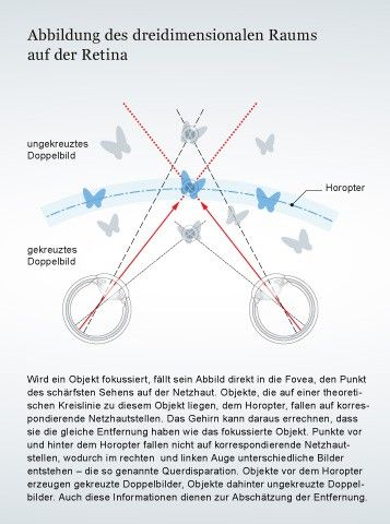 Raumliches Sehen So Erzeugen Augen Ein 3d Bild Tiefenwahrnehmung