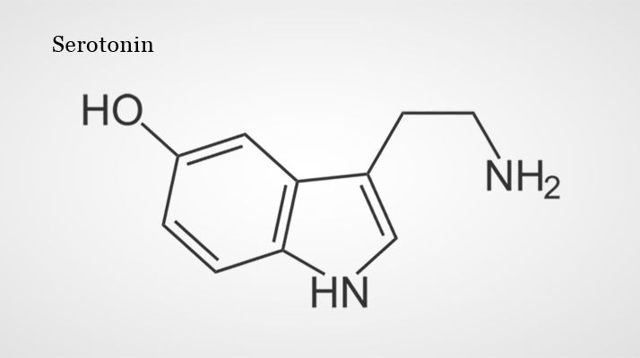 Serotonin