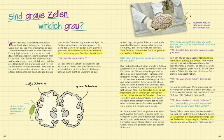 Seite 38 und 39 aus dem Buch "Warum graue Zellen (auch mal) rosa sind von Michael Madeja