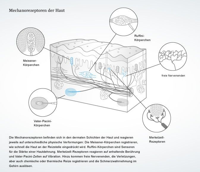 pdf rapid detection of infectious agents infectious agents and pathogenesis