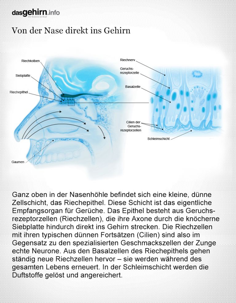 ebook der einsatz moderner informationstechnologien in der automobilproduktentwicklung produktivitätspotenziale