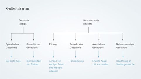 Gedächtnisarten