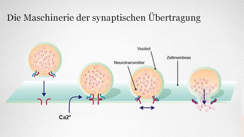 Signalübertragung zwischen Zellen mittels Transmitter