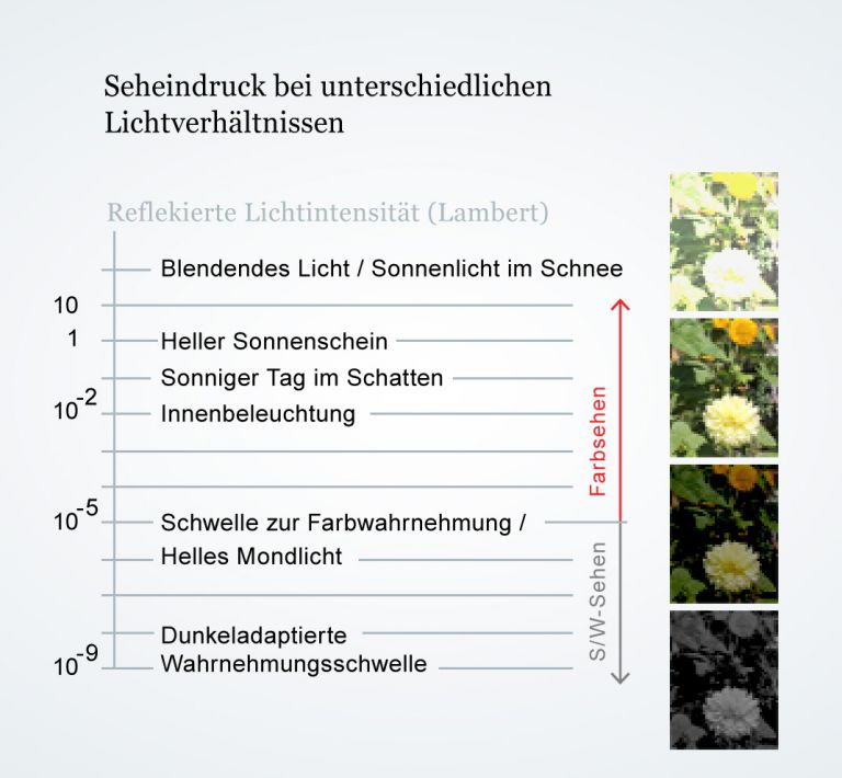 Abhängigkeit des Seheindrucks von den Lichtverhältnissen