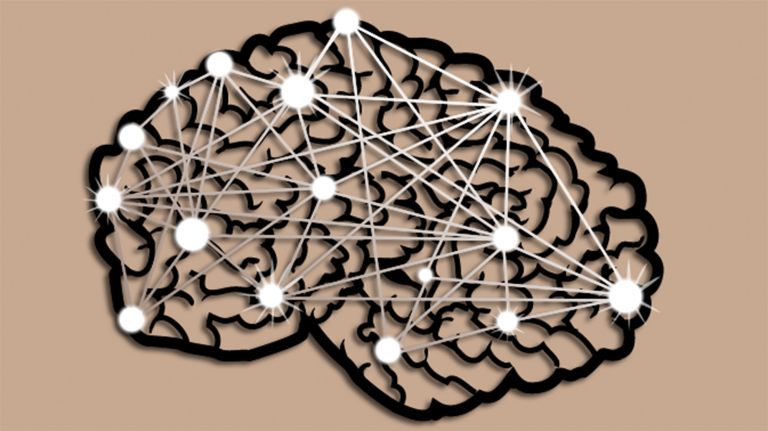 Neurobiologie und Empathie