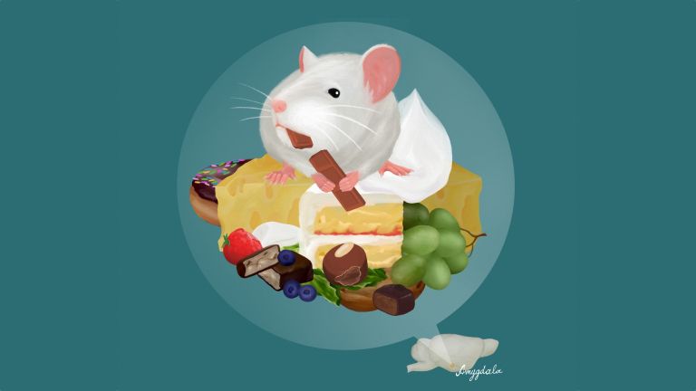 Essen macht Spaß – aber wann ist es genug? Eine Studie zeigt nun, dass das Hormon Ghrelin und spezialisierte Neuronen die Nahrungsaufnahme und das damit verbundene Belohnungsgefühl regulieren.
