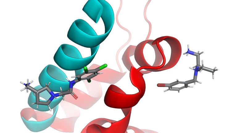 Interaktion der Interface Inhibitoren Compound 8 und Compound 19 innerhalb ihrer Bindungstaschen der Proteinkontaktfläche.