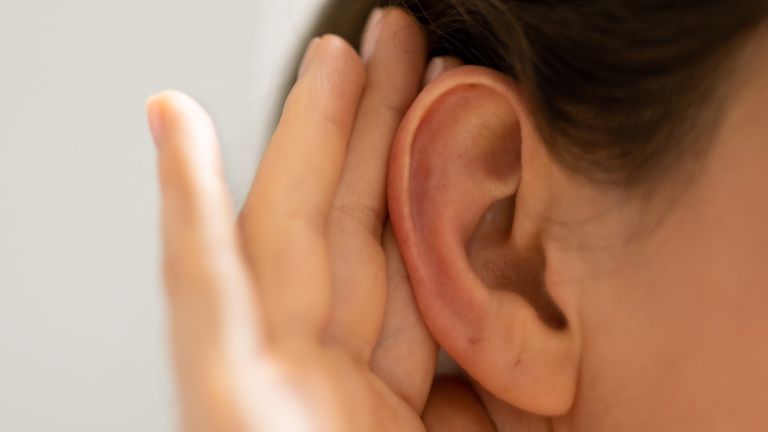 Was passiert mit Nervenfasern, wenn nur ein Ohr trainiert wird?
