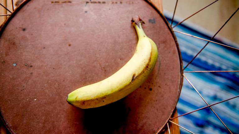 Was Schritt für Schritt im Gehirn passiert, wenn ein Mensch sich das Bild einer Banane – oder anderer Objekte – einprägt, hat ein internationales Team untersucht.