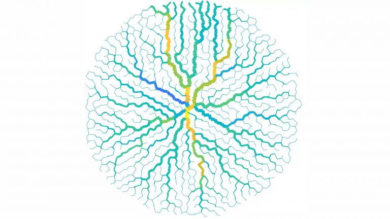 Schematische Darstellung eines adaptiven Netzwerks. Die Verbindungen mit höherem Durchfluss verstärken sich im Laufe der Zeit, während die Regionen mit niedrigem Durchfluss schwächer werden und einen bleibenden Eindruck im Gesamtnetz hinterlassen.