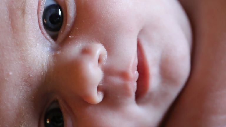 Für die Studie nutzten die Forschenden öffentlich zugängliche Daten des „Human Connectome Project“. Analysiert wurden funktionelle MRT-Daten von Föten, Neugeborenen, Kindern und jungen Erwachsenen.