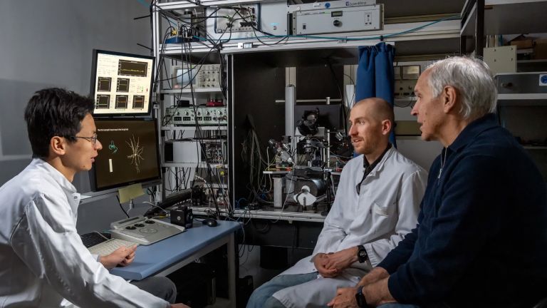 Das Forschungsteam um Prof. Arthur Konnerth (re), Dr. Yang Chen (li) und Doktorand Marinus Kloos vom Institut für Neurowissenschaften an der TUM School of Medicine.