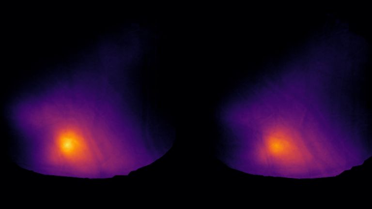 Epifluoreszenzbild der hinteren Inselrinde der Maus: Die Neuronen exprimieren ein kalziumempfindliches Protein grün und einen allgemeinen neuronalen Marker rot.