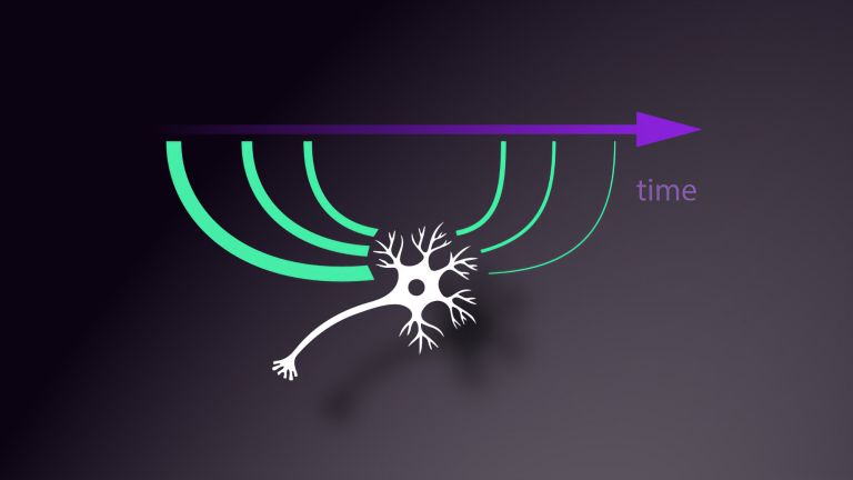 Neuronen lernen auch hochdimensionale Muster über kurze und lange zeitliche Sequenzen vorauszusehen: Für die ersten Inputs, die noch unvorhersehbar sind, feuern die Neuronen stark, und unterdrücken dann die nachfolgenden, vorhersehbaren Inputs