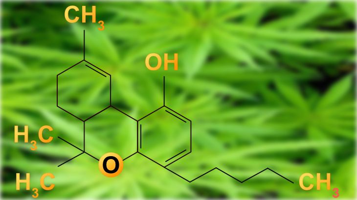 Steckbrief Cannabis