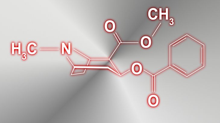 Steckbrief Ecstasy Mdma